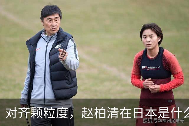 对齐颗粒度，赵柏清在日本是什么水平？
