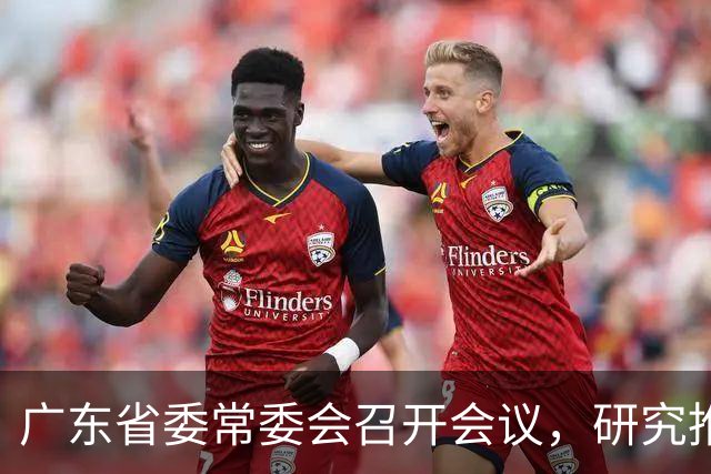 广东省委常委会召开会议，研究推进广东省卫生与健康、办好广交会等工作