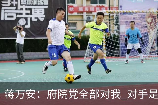 蒋万安：府院党全部对我 对手是两个沈伯洋