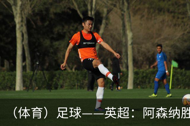 （体育）足球——英超：阿森纳胜埃弗顿