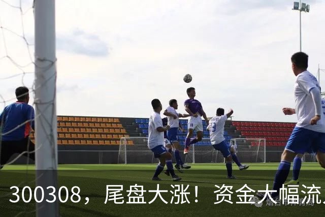 300308，尾盘大涨！资金大幅流入